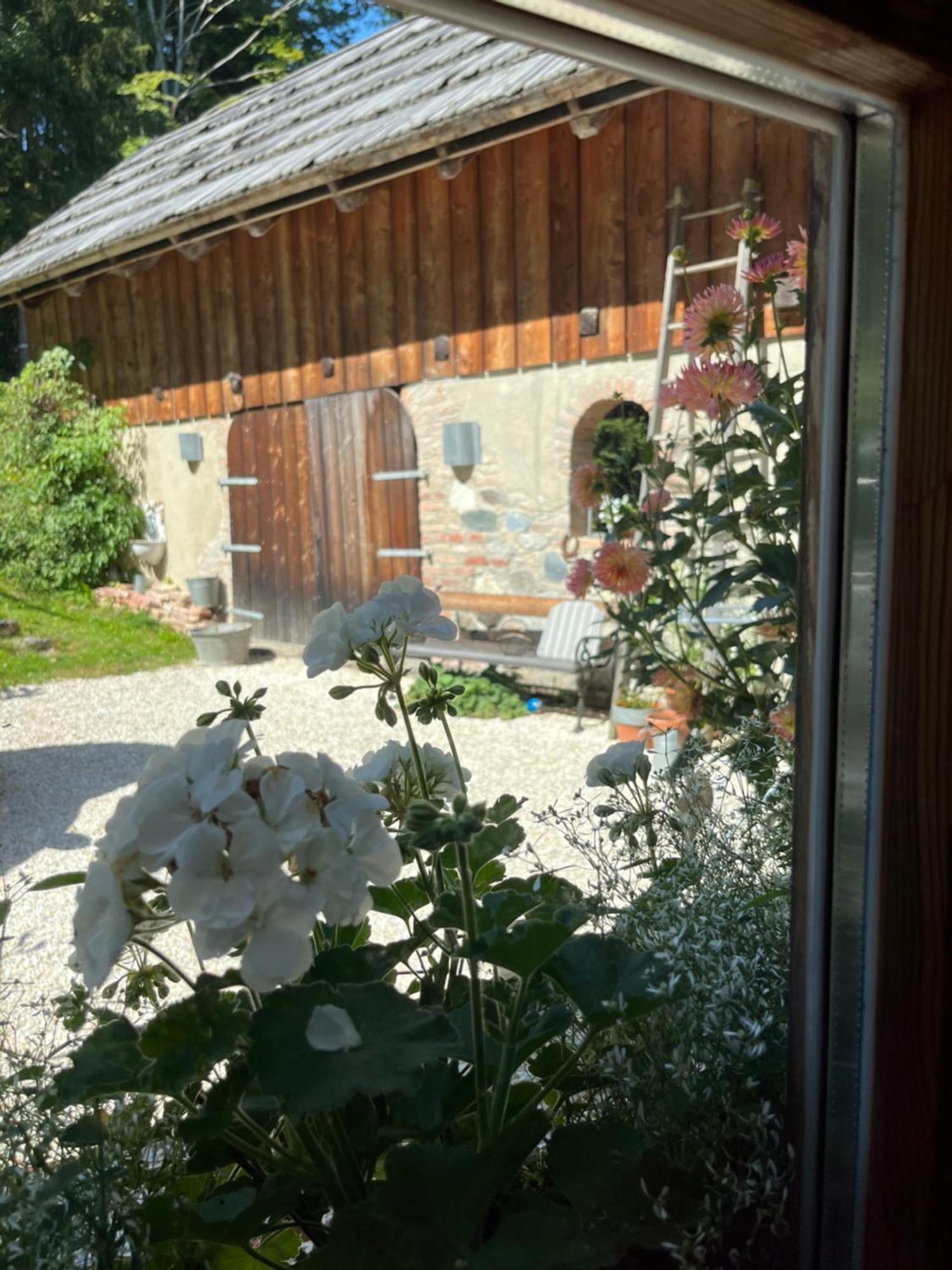 Ferienhaus Waldhauser Hermagor-Pressegger See Exterior foto
